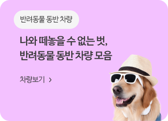 �ݷ����� ���� ����